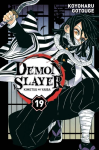 Demon Slayer 19 vignette