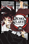 Demon Slayer 20 vignette